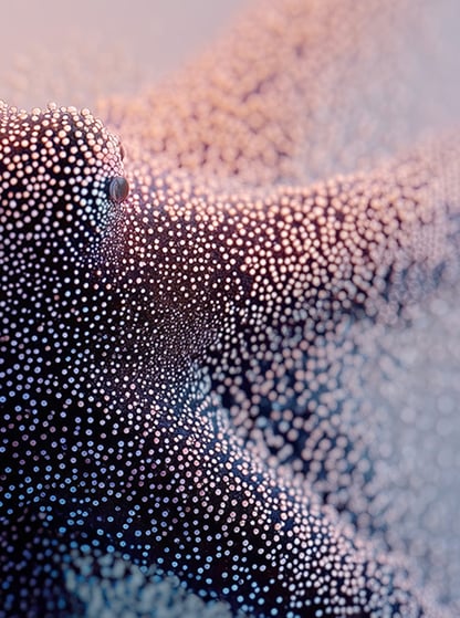 The Palantir Octopus